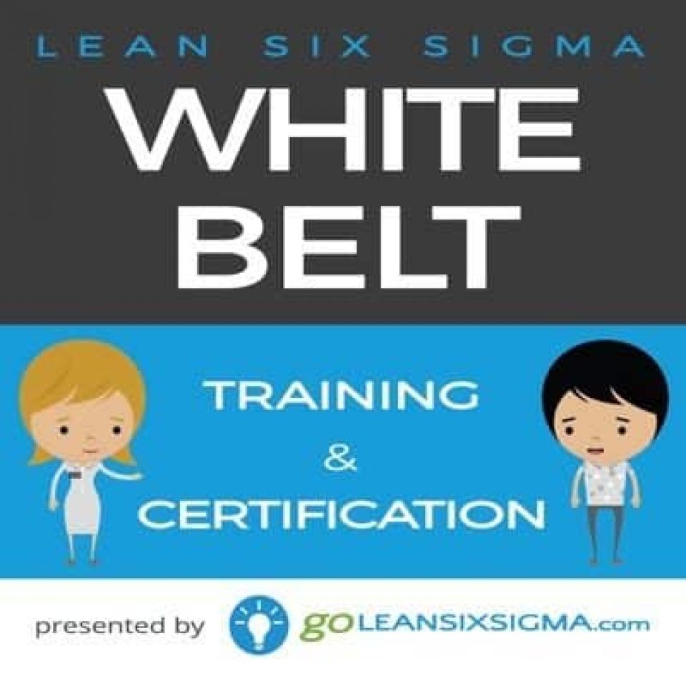 10% Off Go Lean Six Sigma White Belt Training & Certification