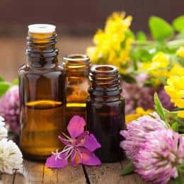 centre of excellence aromatherapy discount code
