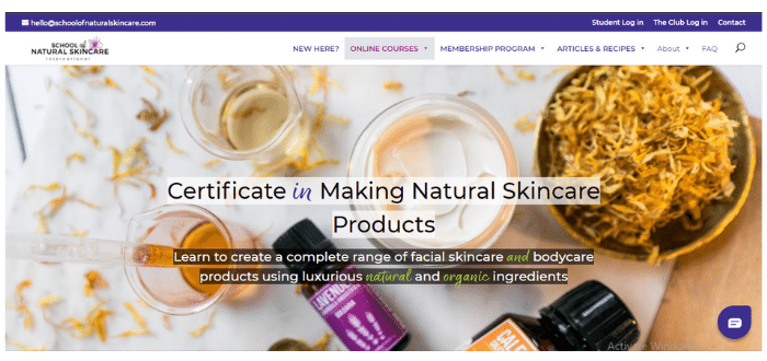 school of natural skincare course