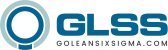 Go Lean Six Sigma